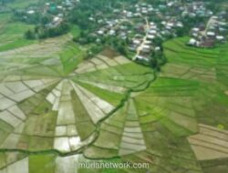 APDESI: Transformasi Desa Jadi Pusat Pertumbuhan Ekonomi dan Pilar Ketahanan Pangan Nasional