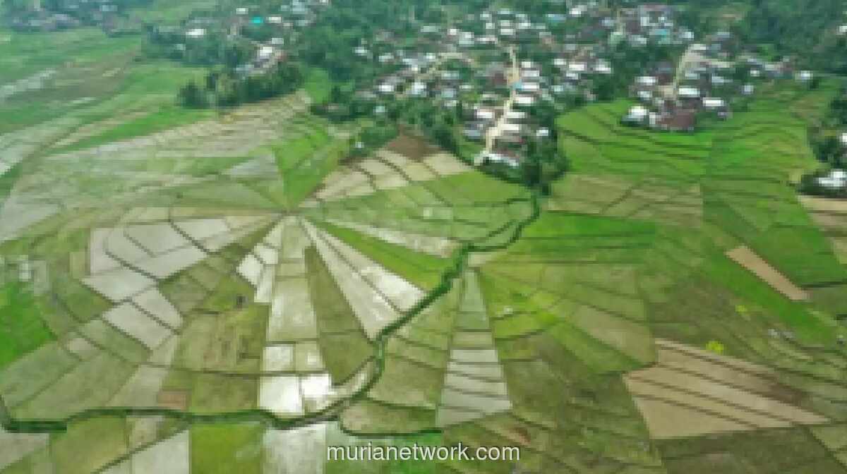 APDESI: Transformasi Desa Jadi Pusat Pertumbuhan Ekonomi dan Pilar Ketahanan Pangan Nasional