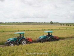 Harga Beras di Merauke Turun Hampir 50 Persen Berkat Program Cetak Sawah dan Optimasi Lahan