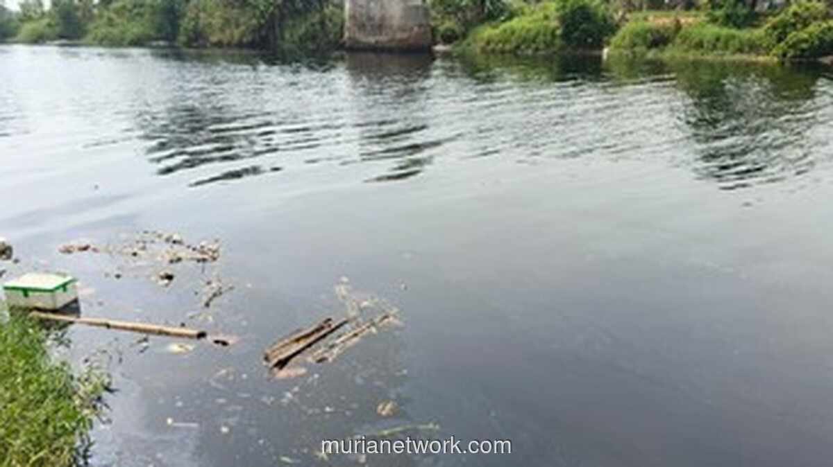 Air Sungai Ciujung di Serang Berubah Hitam dan Berbau Menyengat, Warga Khawatir Lahan Pertanian Tercemar