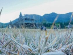 Embun Beku ‘Bun Upas’ Kembali Muncul di Dieng, Suhu Capai 1 Derajat Celsius