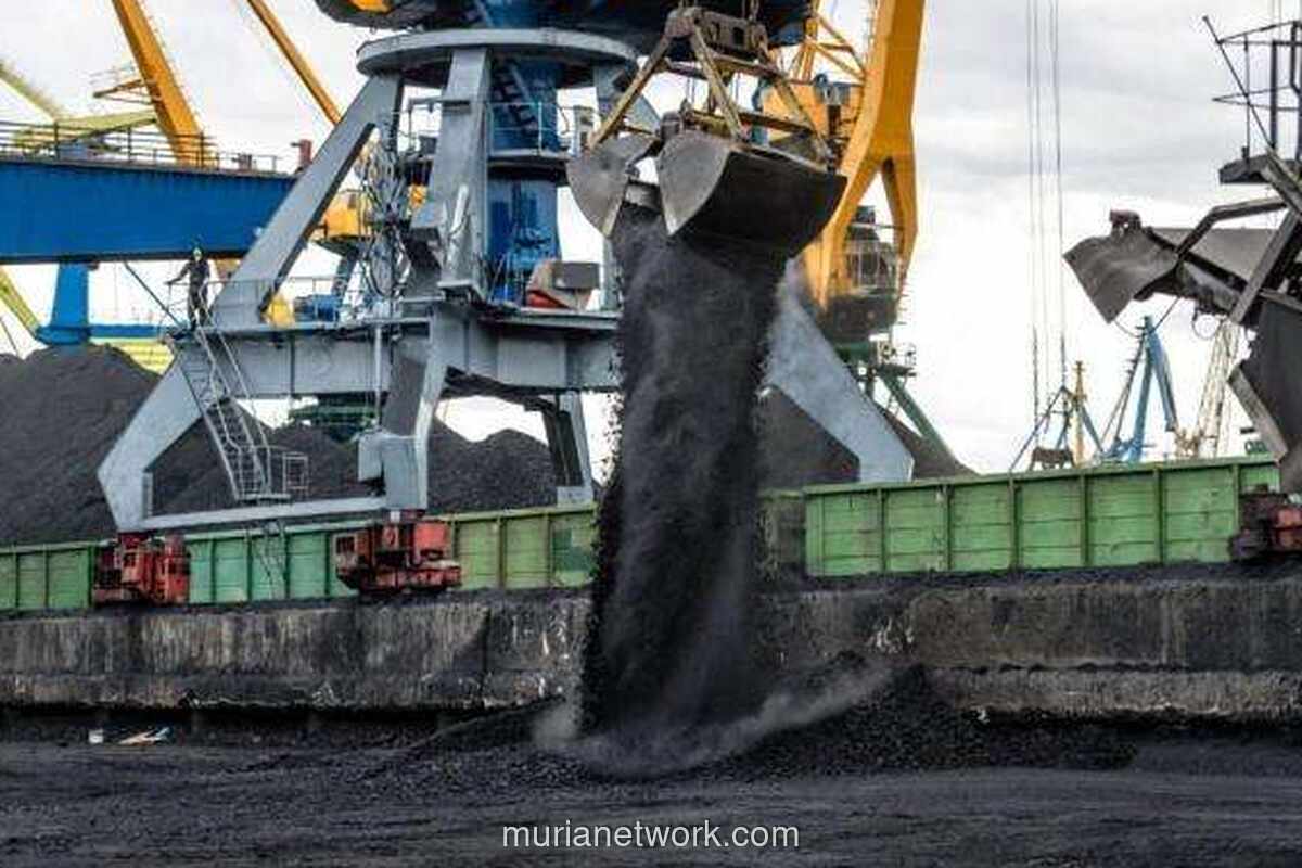Kenaikan DMO Batu Bara Dinilai Berdampak Berlawanan bagi Emiten, Tergantung Bentuk Kebijakan