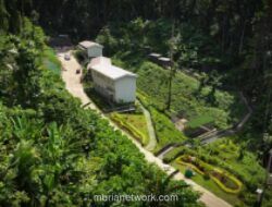 IWIP Resmikan Sanctuary Park 11 Hektare di Halmahera Tengah untuk Lindungi Flora-Fauna Endemik