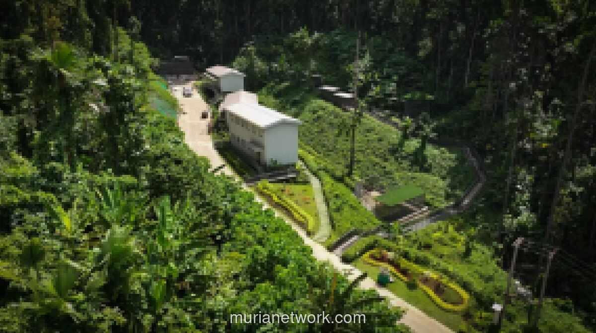 IWIP Resmikan Sanctuary Park 11 Hektare di Halmahera Tengah untuk Lindungi Flora-Fauna Endemik