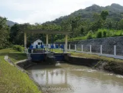 Kemandirian Energi Dusun Kedungrong: Antara Teknologi dan Partisipasi Warga