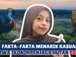 Kasuari, Burung Terbesar dan Paling Berbahaya di Dunia yang Jadi Penjaga Ekosistem Hutan Papua