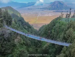 Jembatan Kaca Seruni Point Bromo Resmi Dibuka, Tarif Rp50 Ribu per Orang