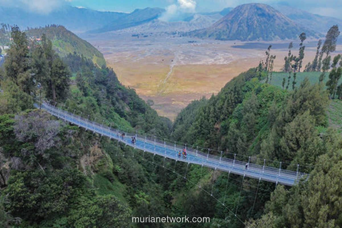 Jembatan Kaca Seruni Point Bromo Resmi Dibuka, Tarif Rp50 Ribu per Orang