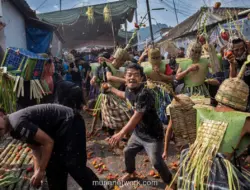 Ratusan Warga Lembang Gelar Festival Perang Tomat, Ritual Buang Energi Negatif Jadi Daya Tarik Wisata