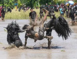 Ritual Kebo-keboan di Banyuwangi, Syukur Panen dan Daya Tarik Wisata