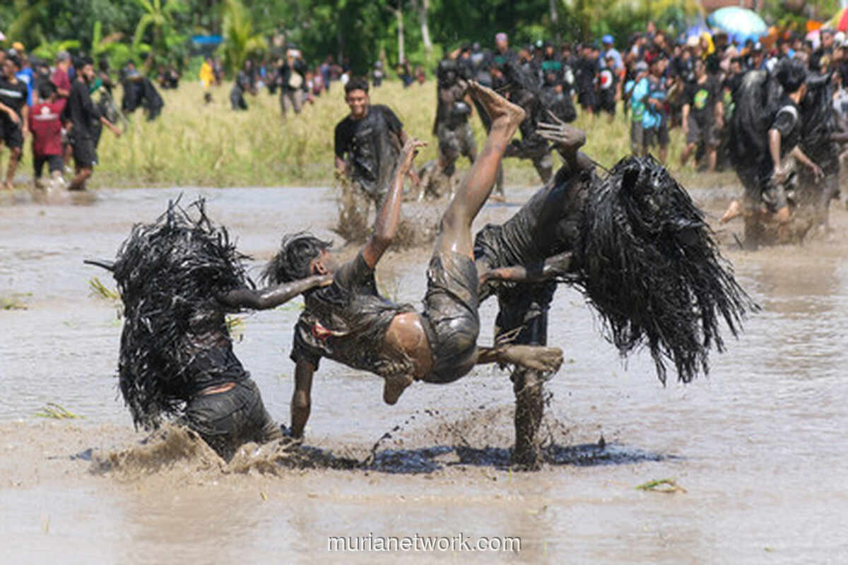 Ritual Kebo-keboan di Banyuwangi, Syukur Panen dan Daya Tarik Wisata