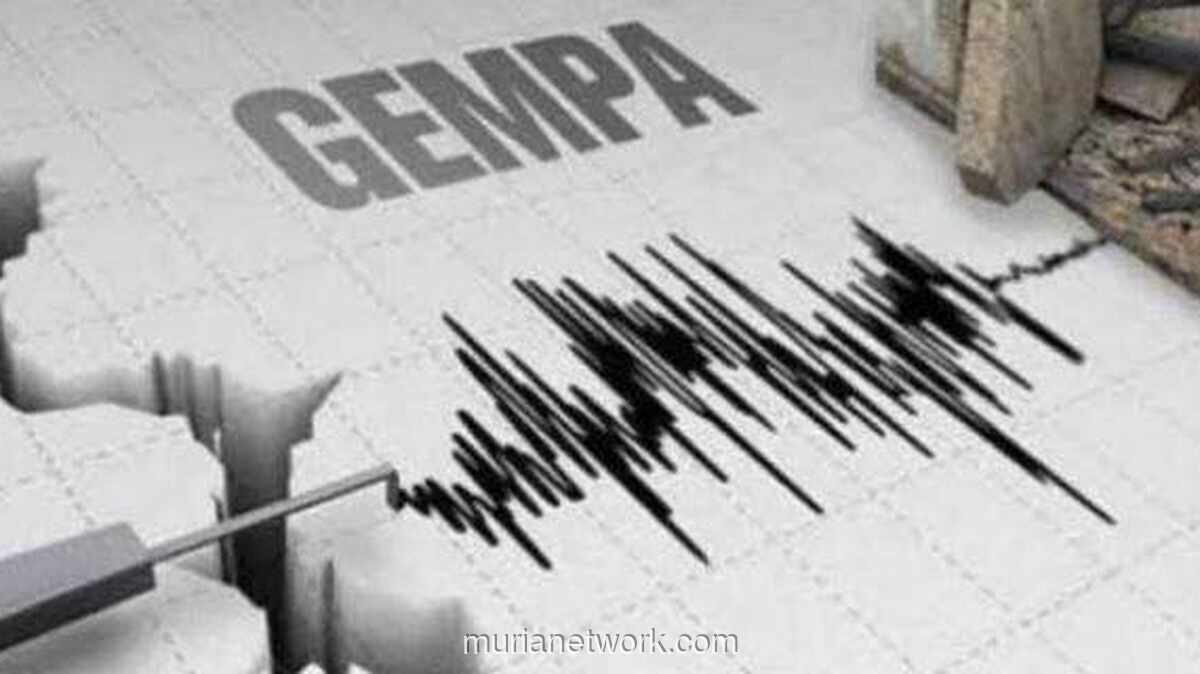 Gempa Magnitudo 3,7 Guncang Jayapura, BMKG: Data Masih Sementara
