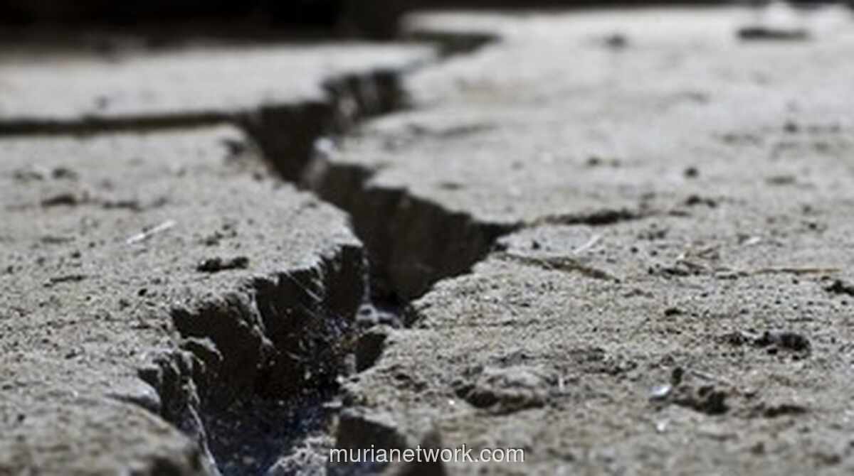 Gempa Magnitudo 3,7 Guncang Mandailing Natal, BMKG: Tak Berpotensi Tsunami