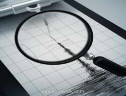 Gempa M5,1 Guncang Sarmi, BMKG Pastikan Tidak Berpotensi Tsunami