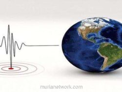 Gempa Magnitudo 5,3 Guncang Maluku Barat Daya, BMKG Pastikan Tidak Berpotensi Tsunami