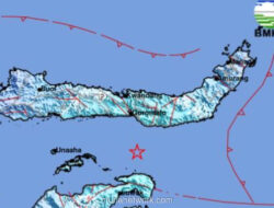 Gempa M 5,6 Guncang Tojo Una-Una, BMKG Pastikan Tak Berpotensi Tsunami