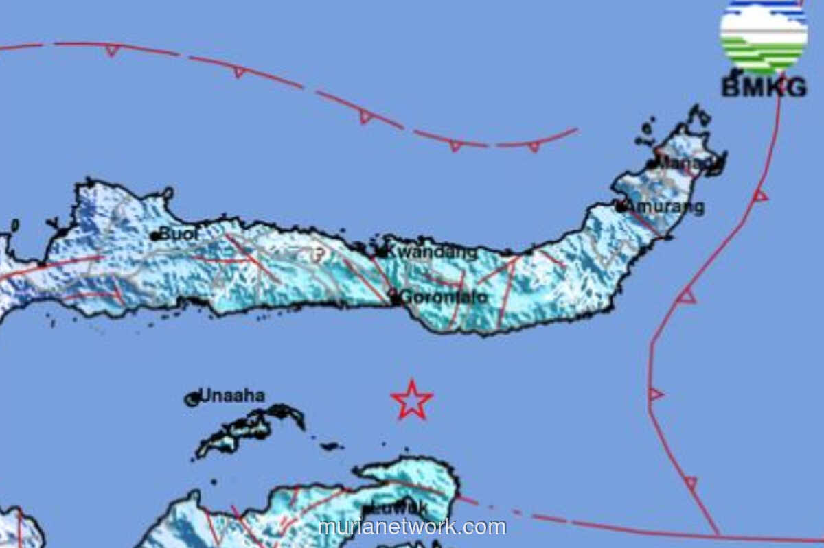 Gempa M 5,6 Guncang Tojo Una-Una, BMKG Pastikan Tak Berpotensi Tsunami