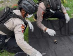 Petani Tegal Temukan Granat Nanas di Kebun Jagung, Tim Gegana Lakukan Evakuasi Aman