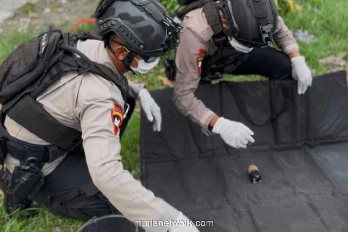 Petani Tegal Temukan Granat Nanas di Kebun Jagung, Tim Gegana Lakukan Evakuasi Aman
