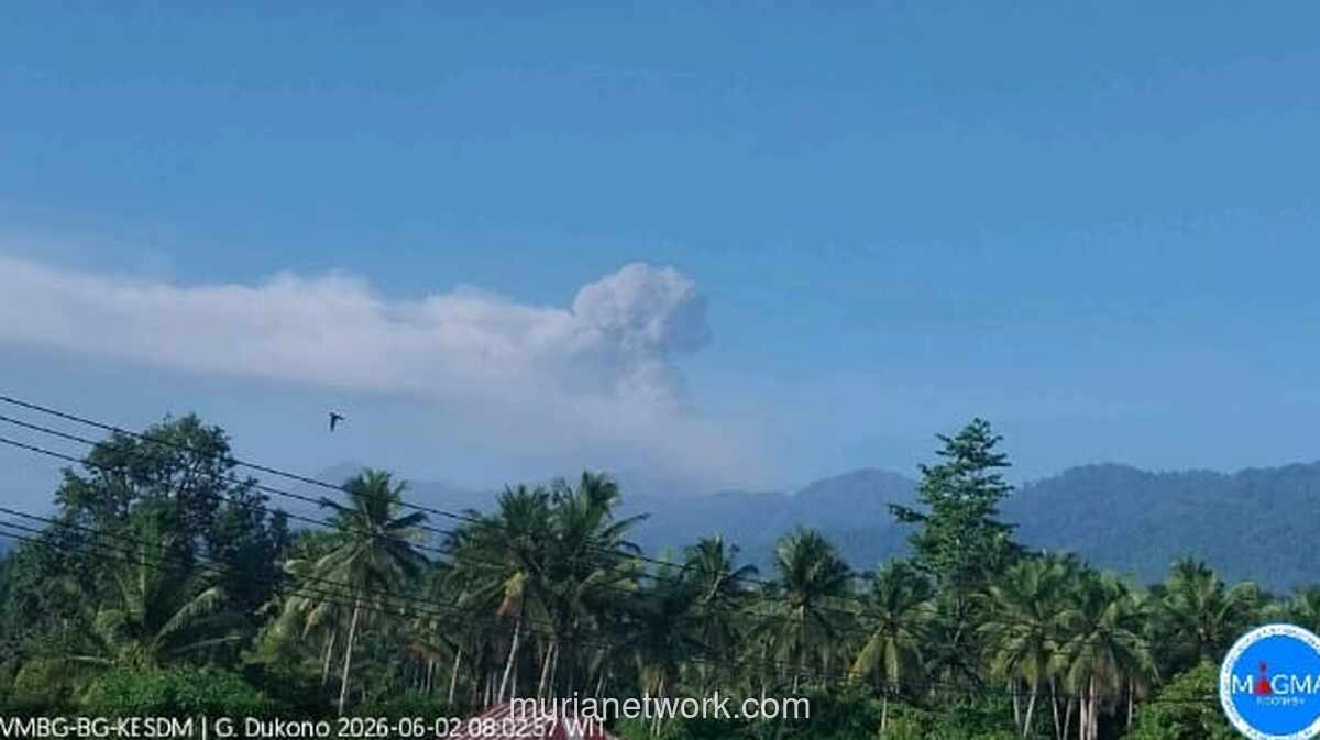 Gunung Dukono Erupsi, Kolom Abu Vulkanik Membumbung 1.300 Meter