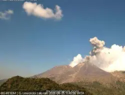 Gunung Lewotobi Laki-laki Erupsi, Kolom Abu Capai 800 Meter, Warga Diminta Waspada Lahar Hujan