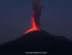 Gunung Lewotobi Laki-Laki Erupsi, Kolom Abu Capai 1.500 Meter dan Hujan Abu Landa Sejumlah Wilayah