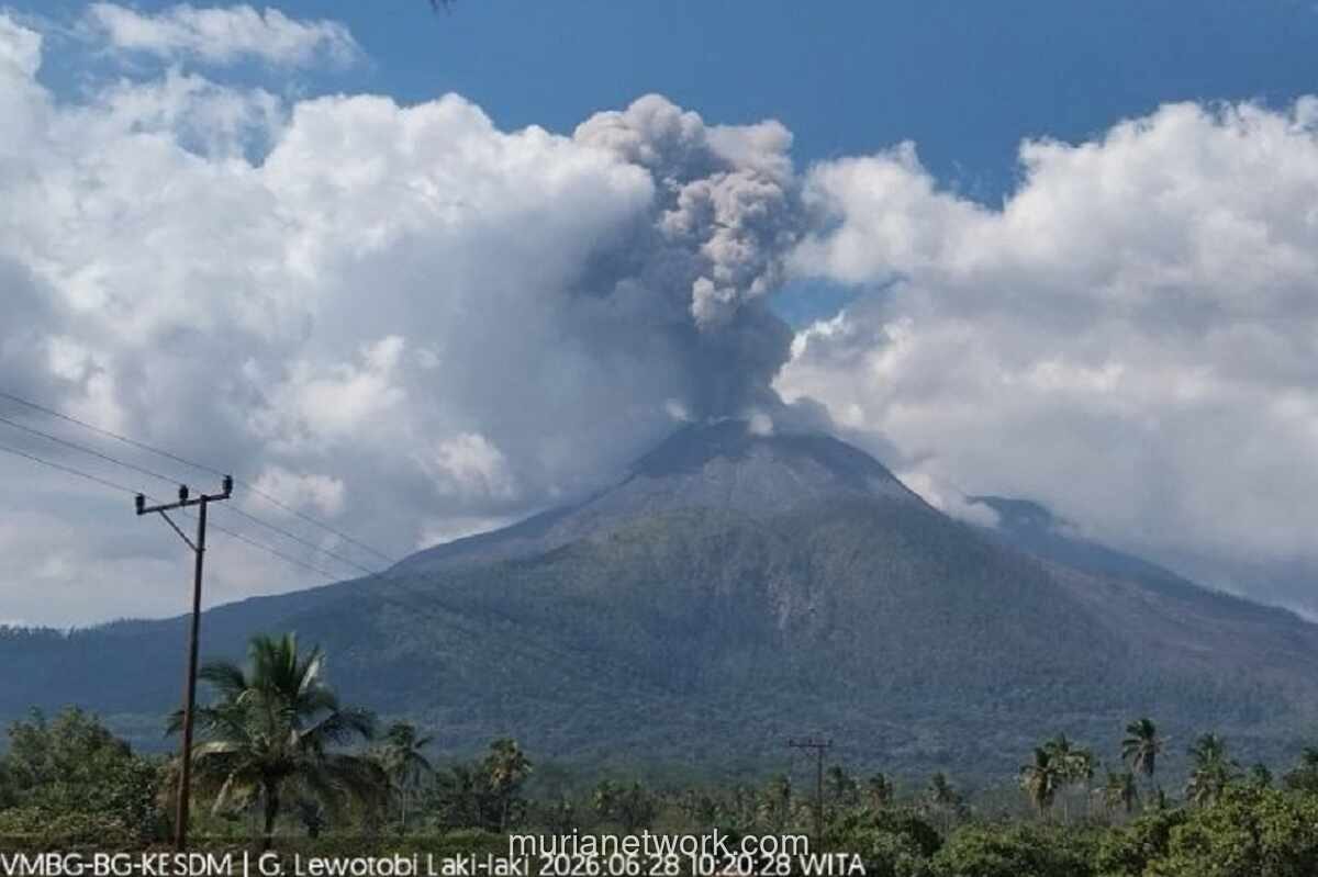 Gunung Lewotobi Laki-laki Meletus, Kolom Abu Capai 900 Meter
