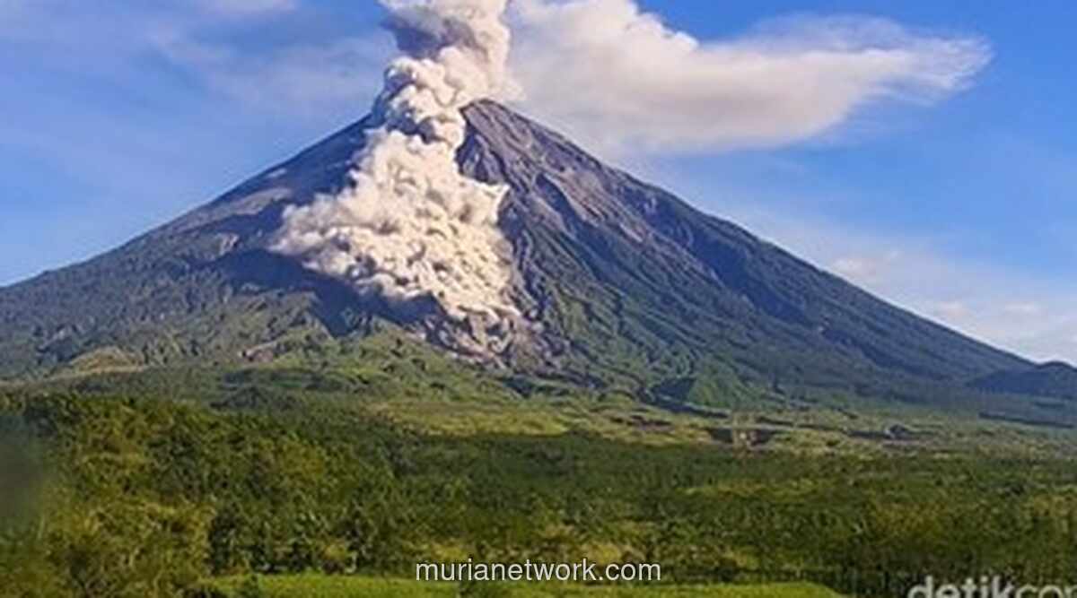 Gunung Semeru Erupsi Dua Kali pada Selasa Pagi, Kolom Abu Capai 1.200 Meter