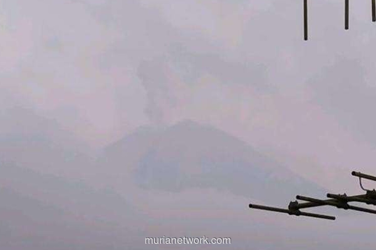 Gunung Semeru Erupsi, Kolom Abu Capai 1.200 Meter, Status Siaga