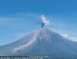 Gunung Semeru Erupsi, Kolom Abu Setinggi 800 Meter Terpantau ke Arah Barat Laut