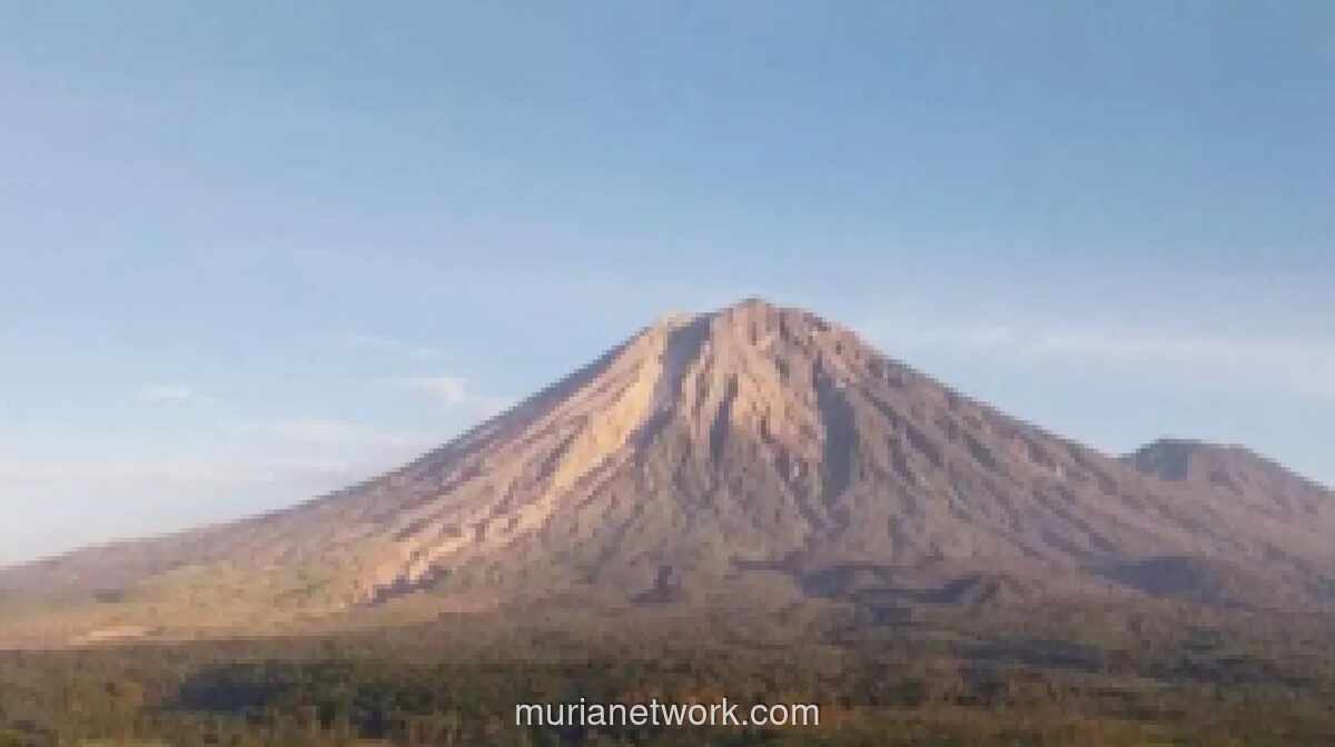 BPBD Lumajang Imbau Warga Waspada Luncuran Awan Panas Gunung Semeru yang Masih Berstatus Siaga