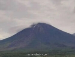 Tiga Pendaki Ilegal di Semeru Dievakuasi, Satu Alami Patah Tulang Kaki