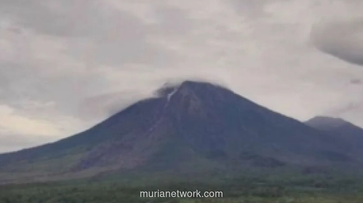 Tiga Pendaki Ilegal di Semeru Dievakuasi, Satu Alami Patah Tulang Kaki