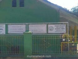 SDN 2 Tempel Blora Hanya Kebanjiran 4 Pendaftar, Terancam Digabung dengan Sekolah Tetangga
