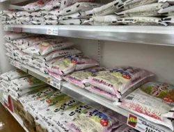 Harga Beras Jepang Anjlok, Stok Melimpah Picu Penurunan Hingga Rp 81 Ribu per Kemasan