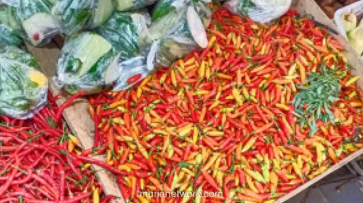 Harga Cabai Rawit Merah Tembus Rp68 Ribu per Kilogram, Jadi Penyumbang Inflasi Pangan Terbesar