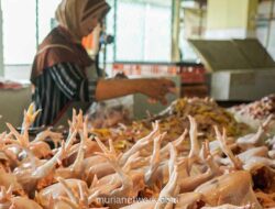 Harga Pangan Senin: Cabai Merah dan Daging Ayam Ras Melonjak Tajam, Cabai Rawit Hijau Justru Anjlok