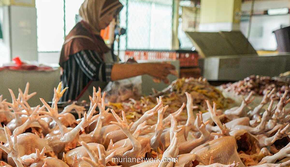 Harga Pangan Senin: Cabai Merah dan Daging Ayam Ras Melonjak Tajam, Cabai Rawit Hijau Justru Anjlok