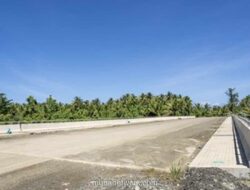 Jembatan Akelamo dan Dermaga Panji Baru Perkuat Konektivitas dan Dorong Ekonomi Masyarakat di Pulau Obi