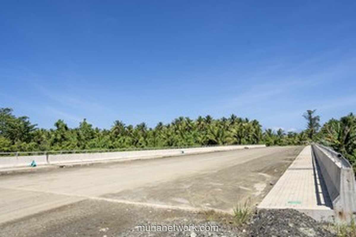 Jembatan Akelamo dan Dermaga Panji Baru Perkuat Konektivitas dan Dorong Ekonomi Masyarakat di Pulau Obi