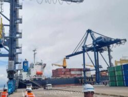 PT Temas Tbk. Bagikan Dividen Rp228 Miliar di Tengah Penurunan Laba Bersih 2025