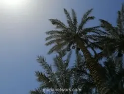 Musim Kemarau Ekstrem, Pemprov Jabar Imbau Waspadai Diare, ISPA, hingga Heatstroke
