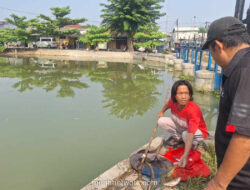 Ribuan Ikan Mati Mendadak di Saluran Irigasi Karawang, Warga Berbondong Ambil Ikan Hanyut