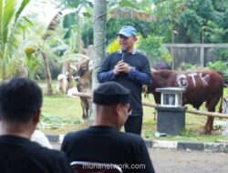 Kemenag Sembelih 12 Sapi dan 6 Kambing, Salurkan 1.200 Paket Daging Kurban serta Santunan Anak Yatim