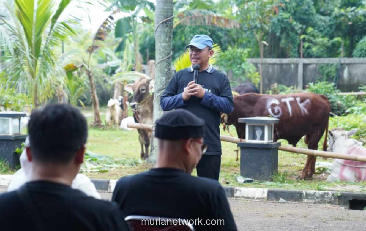 Kemenag Sembelih 12 Sapi dan 6 Kambing, Salurkan 1.200 Paket Daging Kurban serta Santunan Anak Yatim
