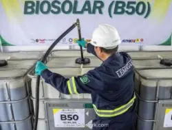 IESR Minta Pemerintah Kaji Ulang Mandatori B50 karena Berpotensi Bikin Biaya Energi Membengkak