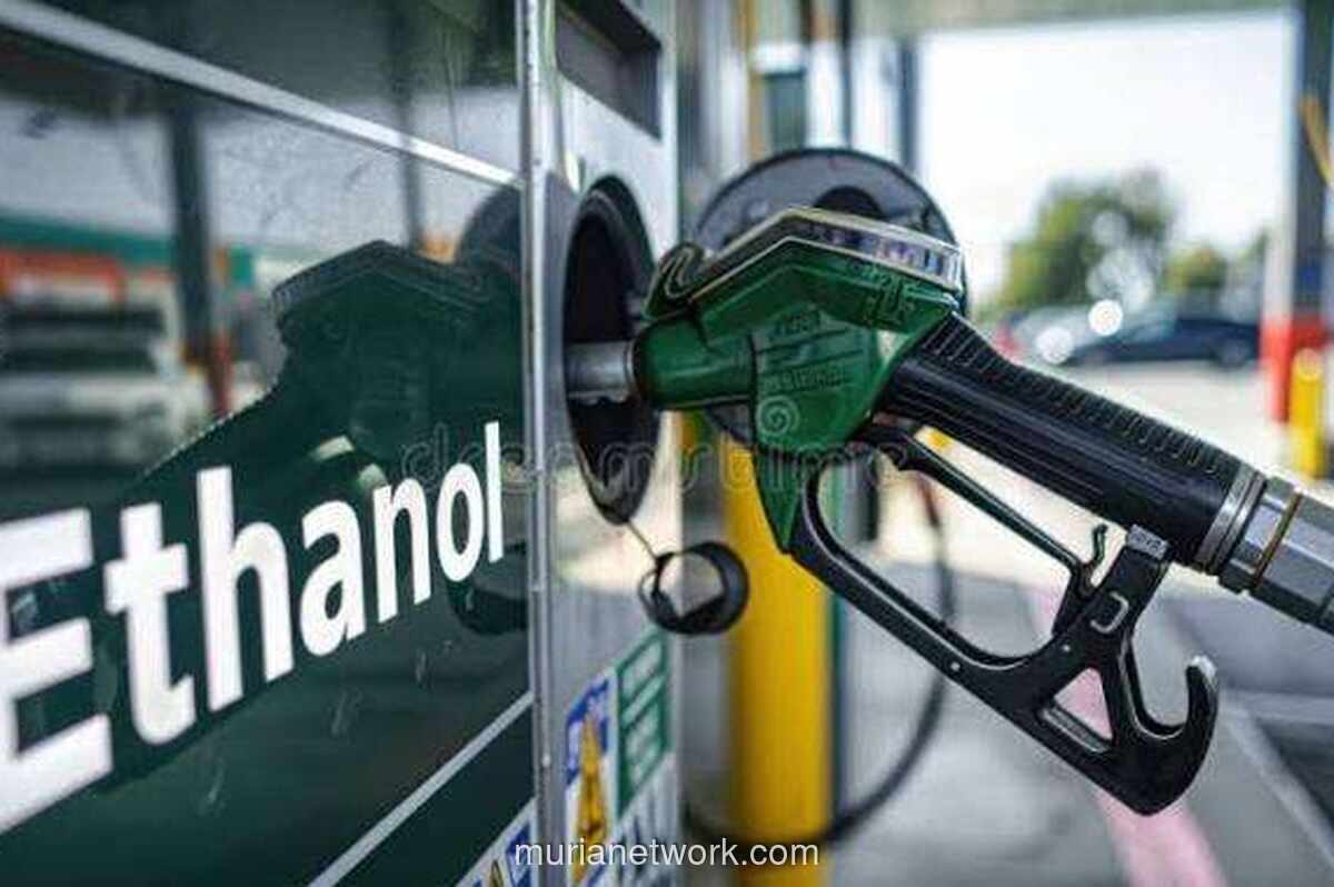 Pemerintah Siapkan Program E20, Butuh 4 Juta KL Etanol per Tahun