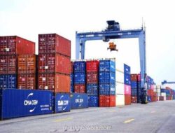 Kementerian Keuangan Terapkan Bea Masuk Antidumping untuk Kertas Karton dari Korea, Malaysia, dan Taiwan
