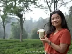 Indonesia Berpeluang Ramaikan Pasar Matcha Global, Petani Lokal Mulai Produksi