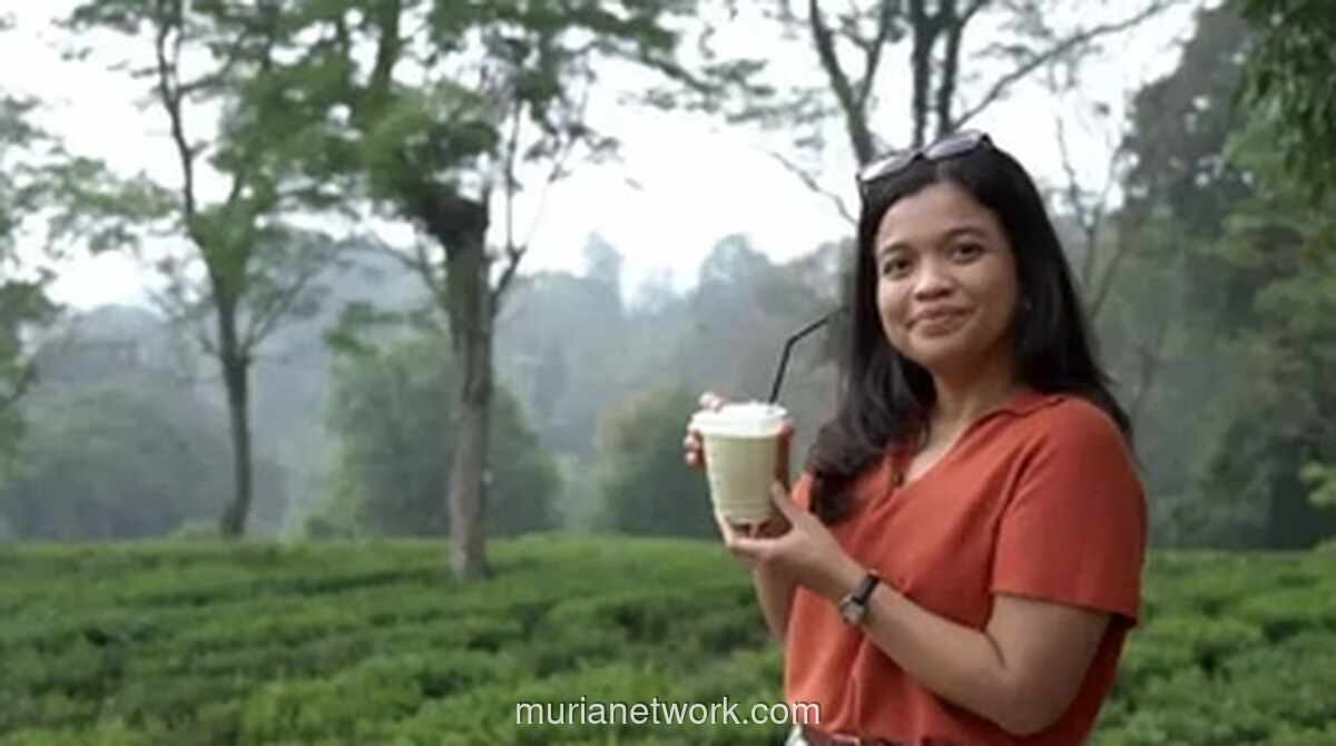 Indonesia Berpeluang Ramaikan Pasar Matcha Global, Petani Lokal Mulai Produksi